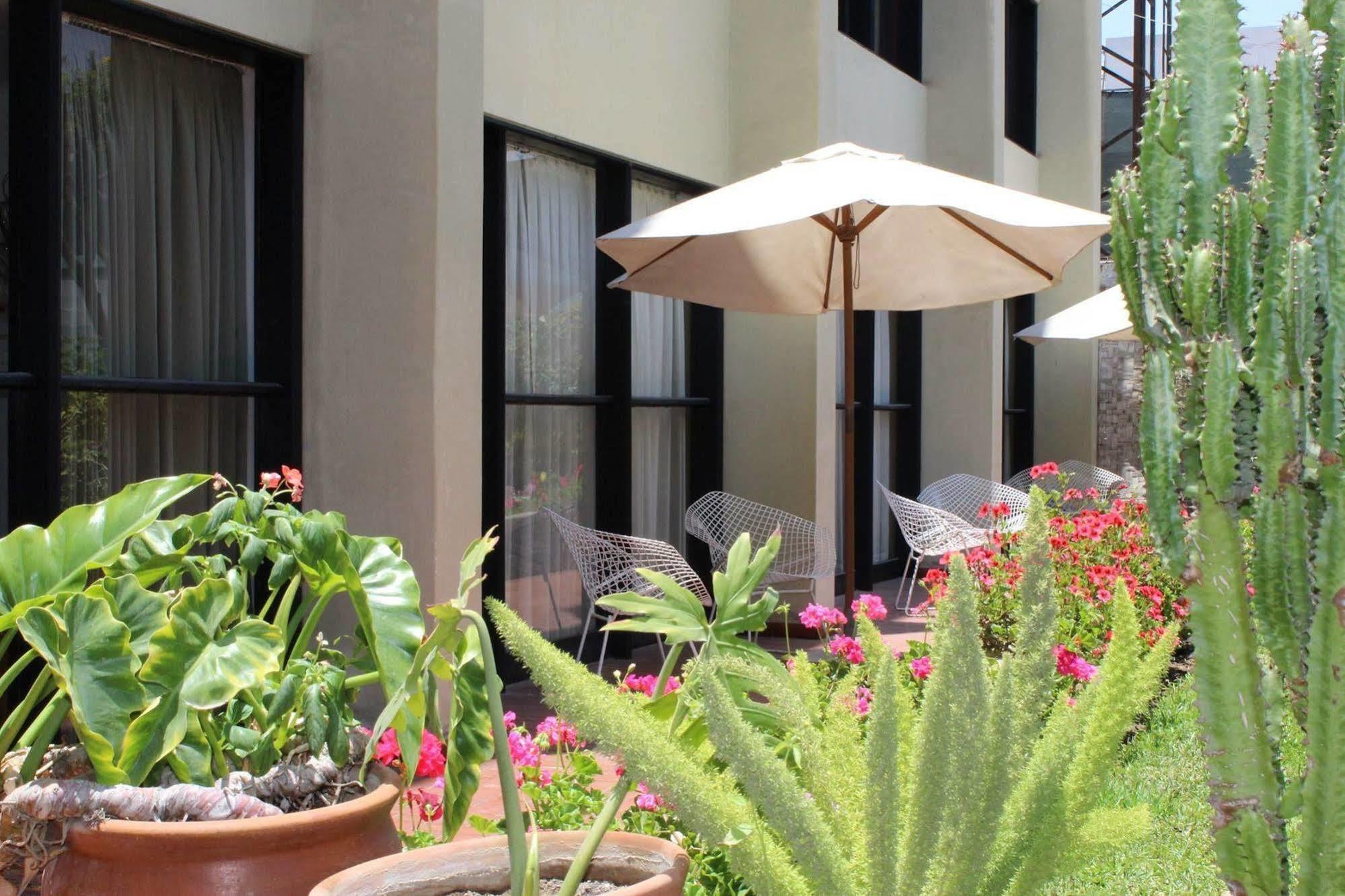 Holiday Suites Tacna Kültér fotó